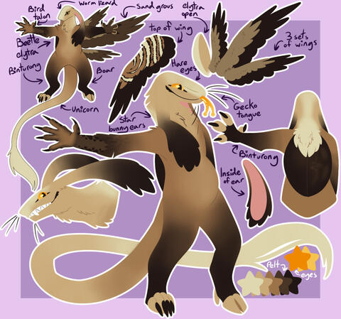 Reference sheet